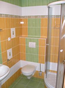 een badkamer met een toilet, een wastafel en een douche bij Penzion U Dvou slunci in Stachy