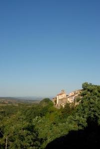 a village on top of a hill with trees at Morelliana4Rooms in Scansano