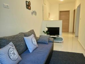 Televízia a/alebo spoločenská miestnosť v ubytovaní Petra apartment