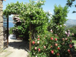 Un jardín fuera de A Mandria