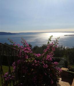 a view of the ocean with pink flowers at Agriturismo Il Casale Del Lago in Gardone Riviera