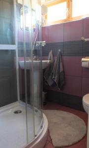ドムボーバールにあるFerienhaus Gunarasのバスルーム(シャワー、洗面台、トイレ付)