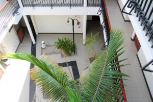 une vue de tête sur un bâtiment avec un palmier dans l'établissement Hotel Samaña, à Arica