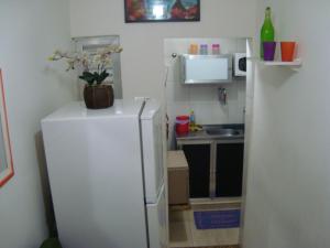 Virtuvė arba virtuvėlė apgyvendinimo įstaigoje Apart Marcelo - Studio Catete