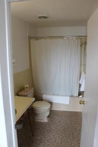 a bathroom with a toilet and a tub and a sink at Colonial Motel in Chatham
