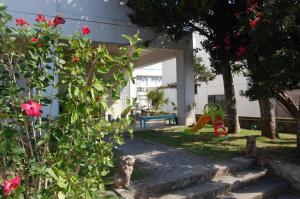 a dog sitting in the yard of a house at Minshuku Namisou in Iriomote