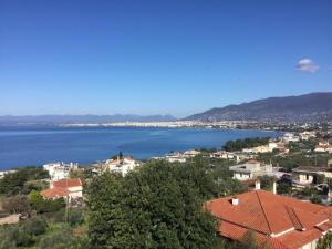 Fotografie z fotogalerie ubytování Petra Thea Apartments 2 v destinaci Kalamata