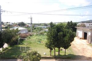 an aerial view of a yard with trees at Minshuku Namisou in Iriomote