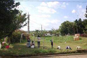 a group of children playing in the grass at Minshuku Namisou in Iriomote