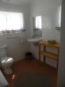 Honne-Hemel في Hondeklipbaai: حمام به مرحاض أبيض ومغسلة
