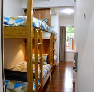 Katil dua tingkat atau katil-katil dua tingkat dalam bilik di Oxford Queenette Backpackers