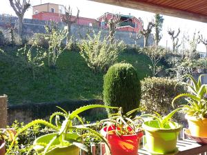 A garden outside Rental rooms Antonella