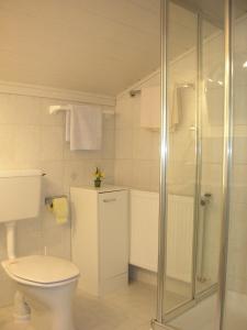 a bathroom with a toilet and a glass shower at Haus Ebner in Sankt Gilgen +19 photos
