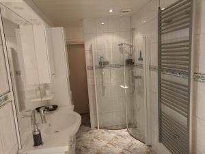 a bathroom with a shower and a toilet and a sink at Vakantiehuis ''De Bolle'' in Bathmen +48 photos