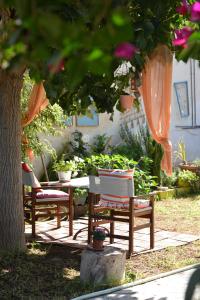 Zahrada ubytování House with Big Garden