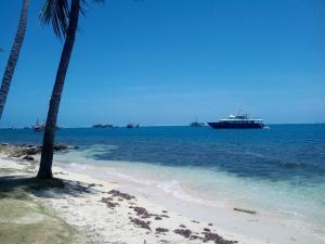 a cruise ship in the ocean with a palm tree at Apartamentos Ksan in San Andrés