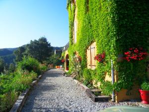 a building covered in green ivy next to a road at A Pianella in Castirla