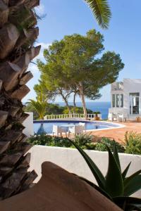 uma vista para uma casa com uma piscina e uma árvore em Hotel Village em Cala Vadella