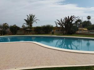 a swimming pool in a yard with trees at Apartamento Urbanova in Arenales del Sol
