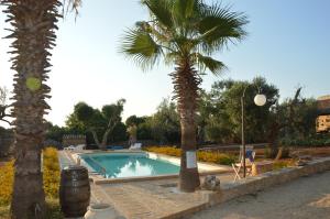 a swimming pool with a palm tree in a yard at Macchia Salentina in Baia Di Gallipoli