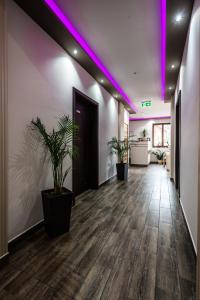 Fotografie z fotogalerie ubytování Allium Apartment v destinaci Makó
