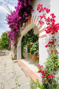 an archway with pink flowers on a building at Agriturismo Posta Pastorella in Vieste