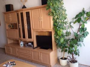 Un televizor și/sau centru de divertisment la Ferienwohnung Christine Nestler