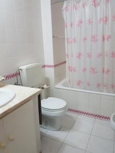 マンタ・ロータにあるDon Rodrigues Apartment - Manta Rotaのバスルーム(トイレ、シャワーカーテン付)