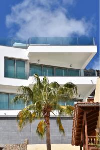 una palmera frente a un edificio blanco en Sunset Puerto de Mogan, en Puerto de Mogán