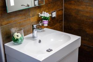 La salle de bains est pourvue d'un lavabo et d'un vase de fleurs. dans l'établissement Ferienwohnung Jolene, à Weil am Rhein