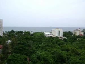 Naturlandskabet i nærheden af lejligheden