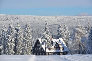 a snowy mountain range with trees and houses at Prezidentská in Bedřichov