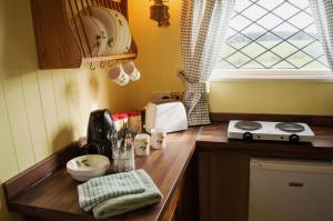a kitchen with a counter top with a stove and a window at Shrublands Farm Shepherd's Hut in Sidestrand