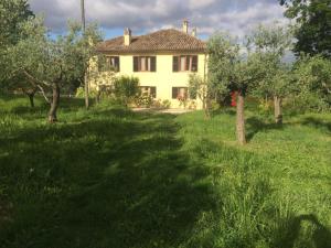 Κήπος έξω από το Agriturismo San Marco