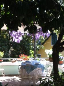 Zahrada ubytování Hotel Pensione Moderna