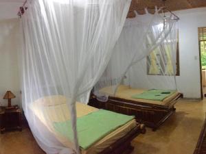 two beds in a room with white curtains at Ecolodge Bukit Lawang in Bukit Lawang