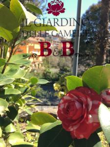 パレストリーナにあるB&B Il Giardino delle Camelieの赤い花の看板前の薔