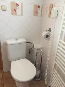 a bathroom with a white toilet and a phone at Tatralandia Romantická Záhrada Chata 345 in Vyšné Malatíny