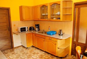 Köök või kööginurk majutusasutuses Apartments Střed Jáchymov