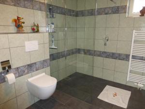 een badkamer met een toilet en een douche bij de zanderij in 's-Graveland