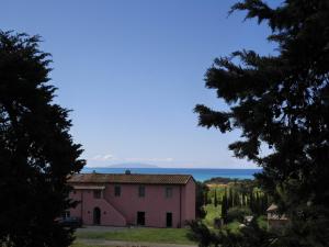 卡斯蒂利翁切洛Agriturismo Podere Gianmaria的相册照片
