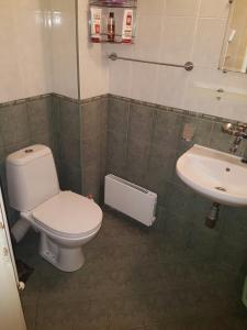 a bathroom with a toilet and a sink at Pirotska Apartment GN / FREE GARAGE in Sofia