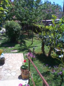 Zahrada ubytování Guest House Marta