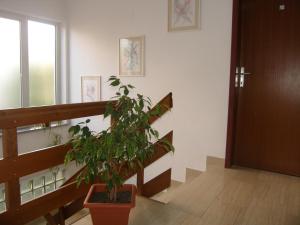 Fotografie z fotogalerie ubytování Guest House Marta v Medulinu