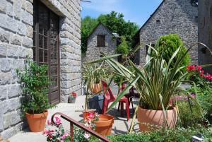 eine Terrasse mit Topfpflanzen und ein Gebäude in der Unterkunft Auberge des Ruines de Merle in Saint-Cirgues-la-Loutre