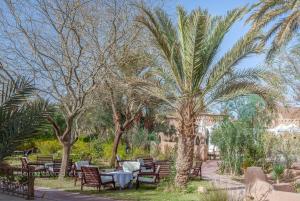 una palmera con mesas y sillas en un parque en Dar Azawad, en Mhamid