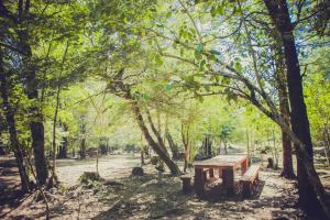 uma mesa de piquenique num parque com árvores em Llaima Camp em Curacautín