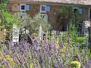 ヴェゾン・ラ・ロメーヌにあるChambre d'hôtes Au coquin de sortの紫の花の庭