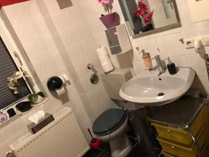 a small bathroom with a toilet and a sink at Messe Apartment & Rooms Hänigsen in Hänigsen +22 photos