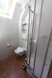 een badkamer met een toilet en een glazen douche bij Das Haus am See Schwerin in Schwerin